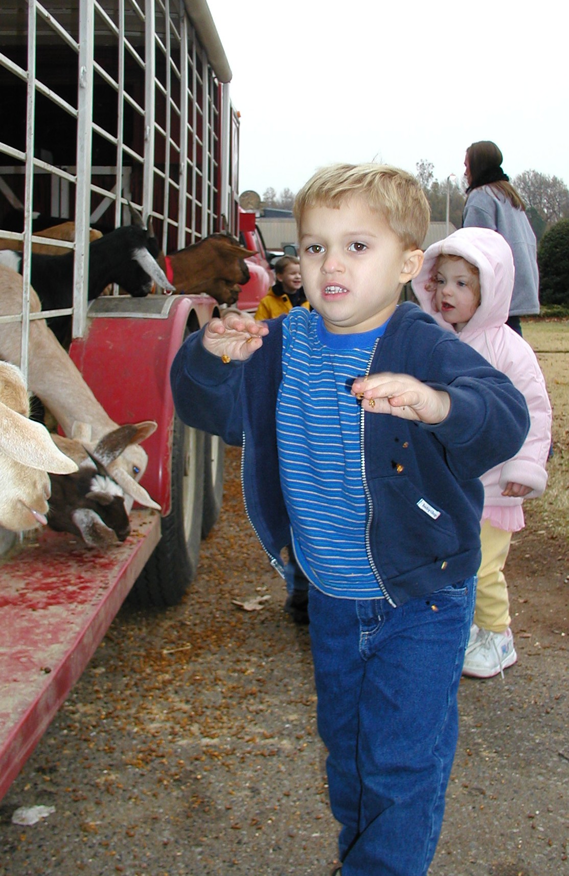 Petting Zoo