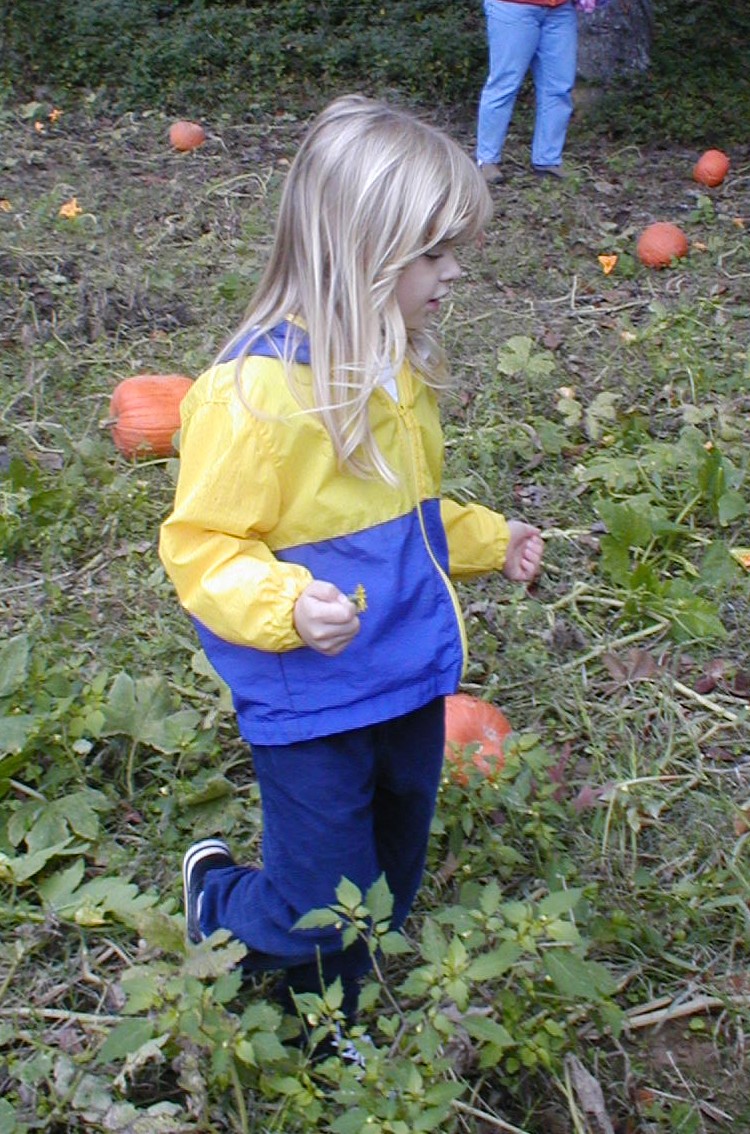 I want the BIGGEST pumpkin I can find!