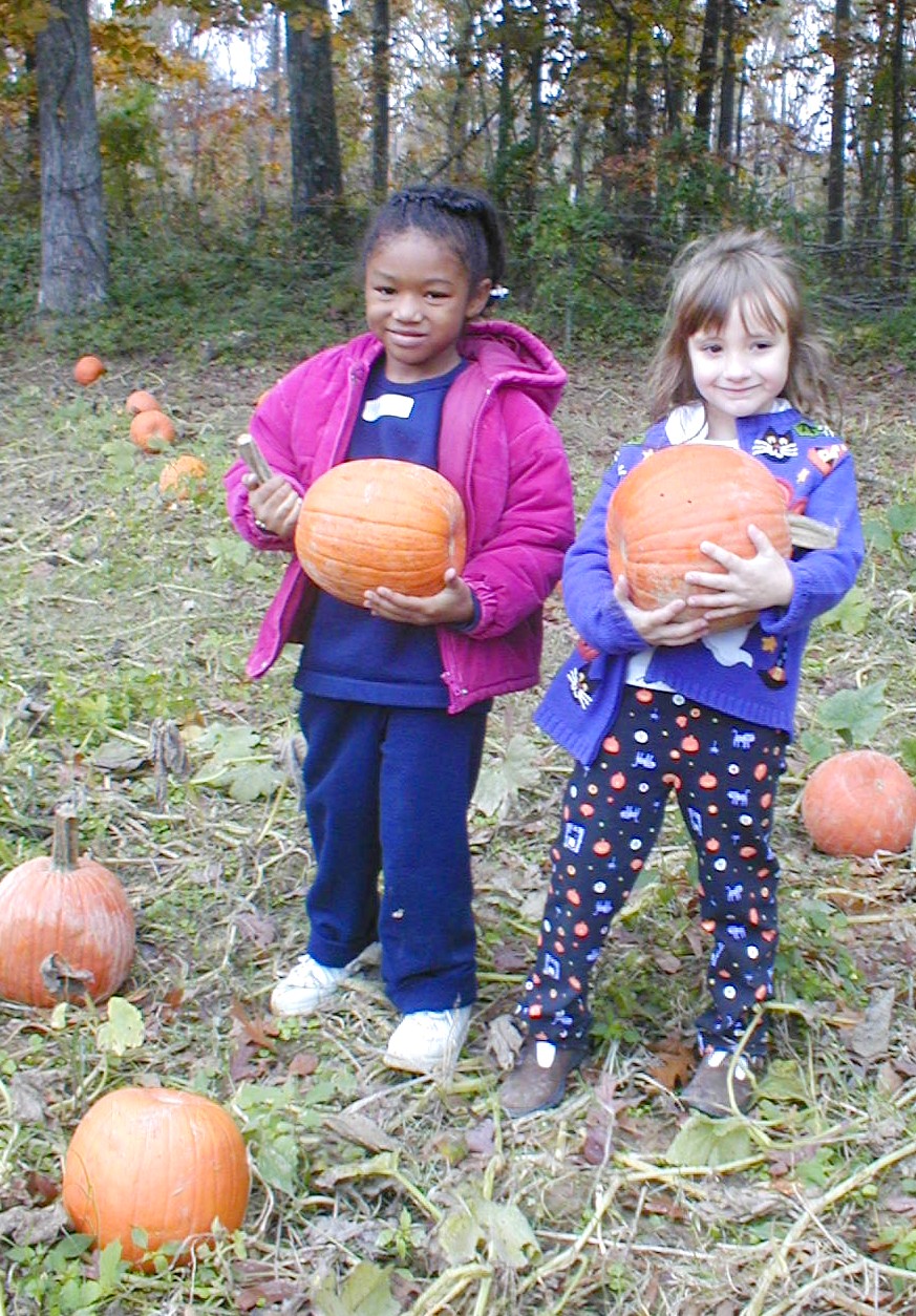My pumpkin is going to be a scary Jack-O-Lantern!